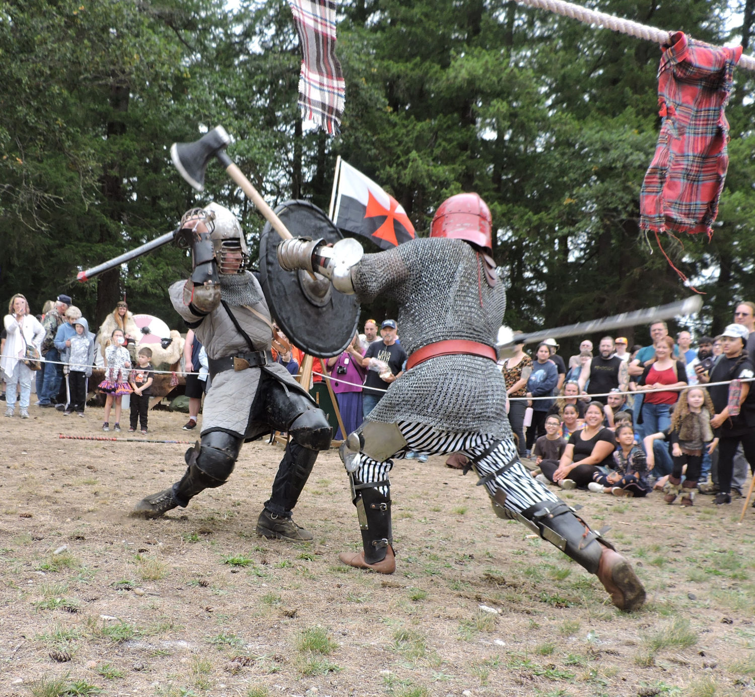 Viking Festival